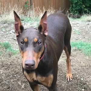 Meet your Posher, Terrence